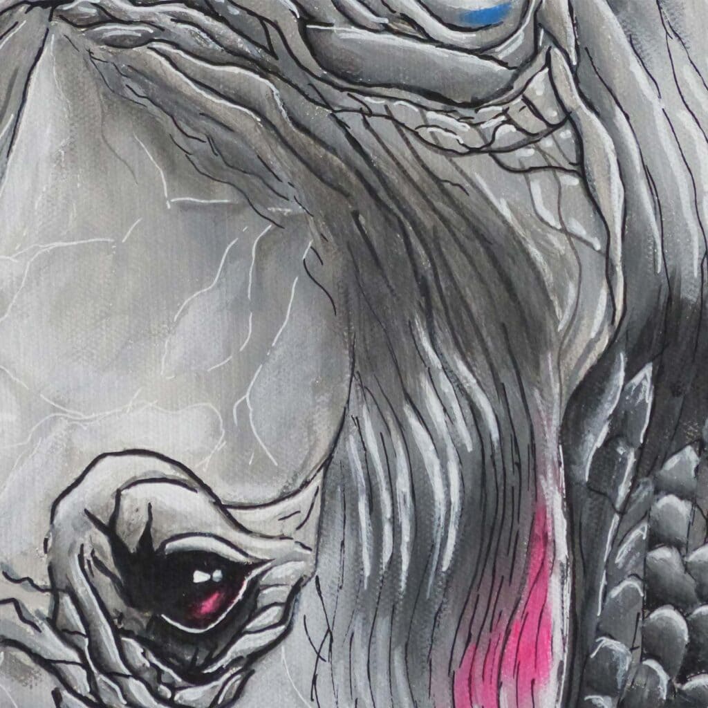 Détail de l'œil du rhinocéros, plis de la peau dessinés au trait noir et blanc, et une coulée rose vif sur la joue