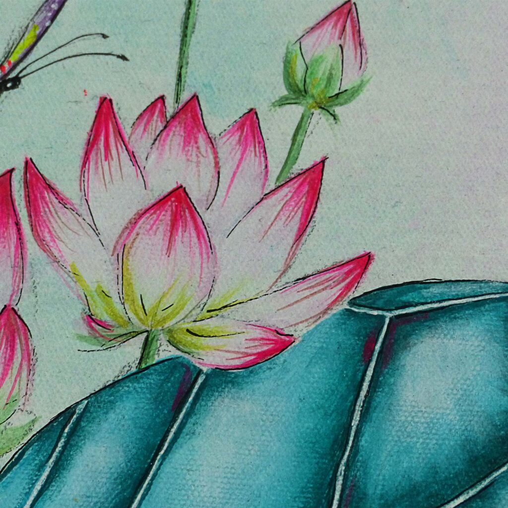 Détail d'une fleur de lotus rose et jaune, son bouton, de larges feuilles turquoise nervurées et un papillon
