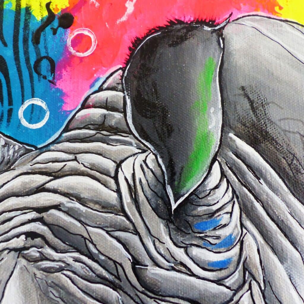 Détail de l'oreille du rhinocéros, plis de la peau au trait noir, trace de vert dans l'oreille, fond rose et bleu. Deux cercles blancs, une goutte noire et des traces zébrées qui ont été laissés par un pochoir.
